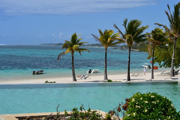 L'union sublime du gypset et du monde naturel : une passion éternelle