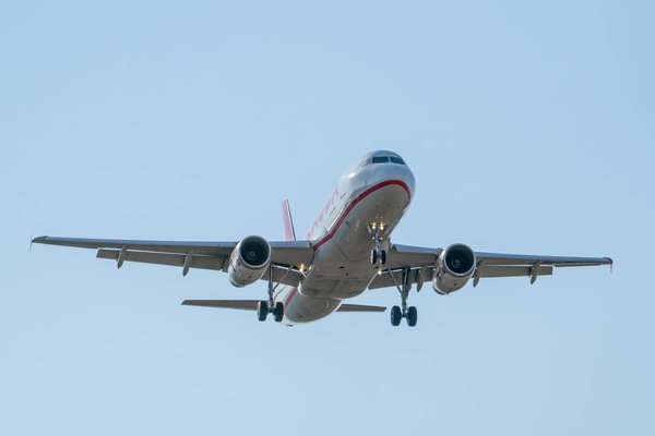 Explorez les Bienfaits Inattendus de l'Huile de Neem pour Sublimer Votre Peau : Astuces Pratiques pour un Usage Quotidien !